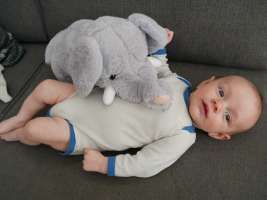 louis